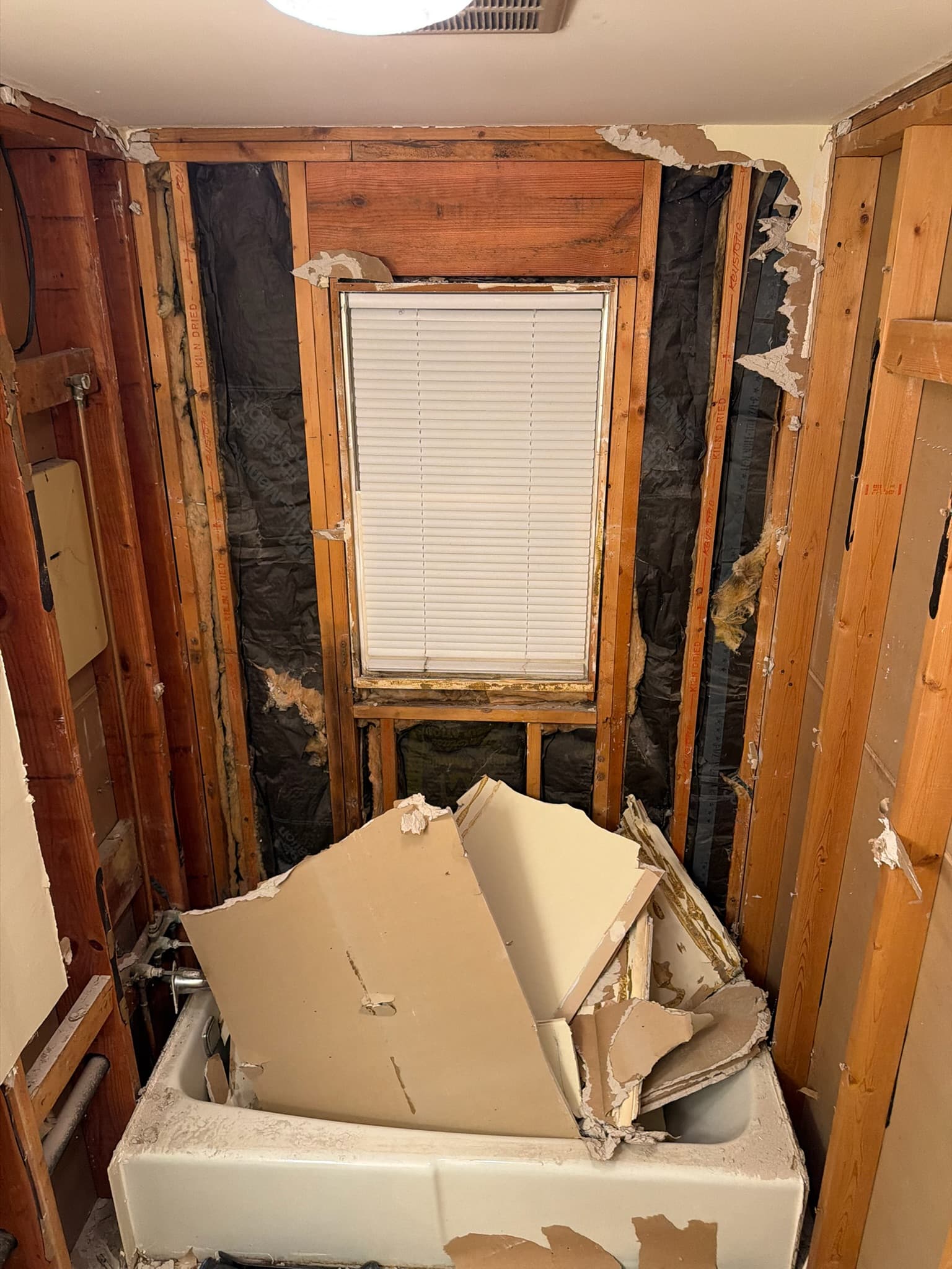 Bathroom gutted down to the studs